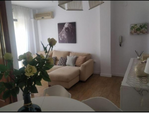 Apartamento La Isla, San Fernando